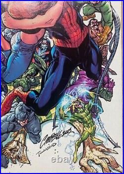 Amazing Spider-man #500 Stan Lee Signed Rare Newsstand Upc Variant 2003 Nm